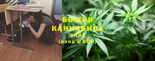 крисы Армянск