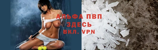 винт Арсеньев
