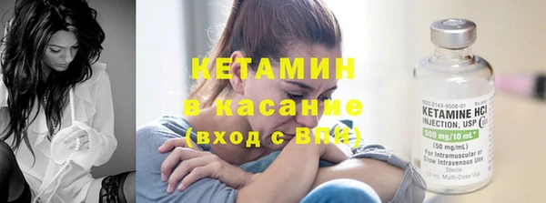 шишки Аркадак