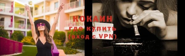 шишки Аркадак