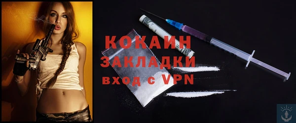 шишки Аркадак