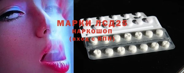 шишки Аркадак