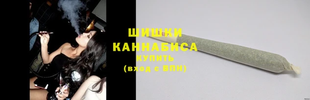 шишки Аркадак