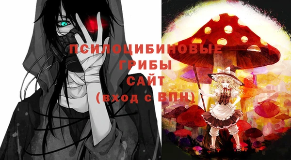 винт Арсеньев