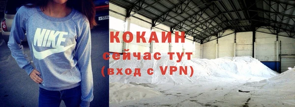 крисы Армянск