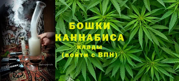 винт Арсеньев