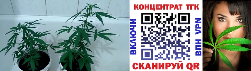 ТГК гашишное масло  магазин продажи наркотиков  Нижнеудинск 