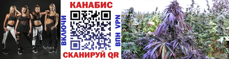 Шишки марихуана MAZAR omg ссылки Нижнеудинск